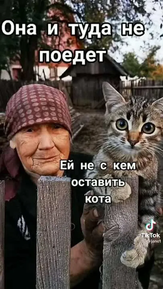 Ей не с кем оставить кота