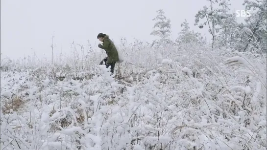 Современный фермер / Стильный фермер / Modern Farmer (16/20) [субтитры]