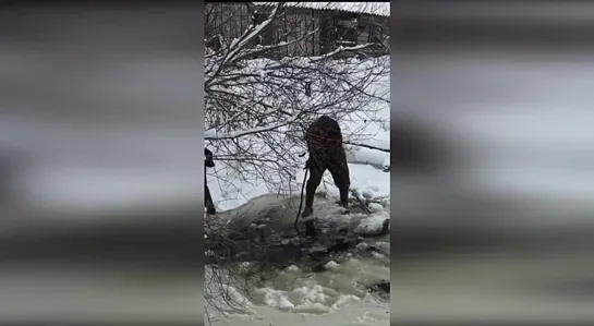 Видео от ПОДСЛУШАНО | Великий Новгород