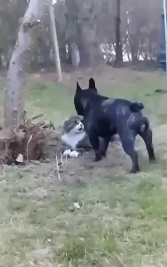 Видео от ПОДСЛУШАНО | Великий Новгород