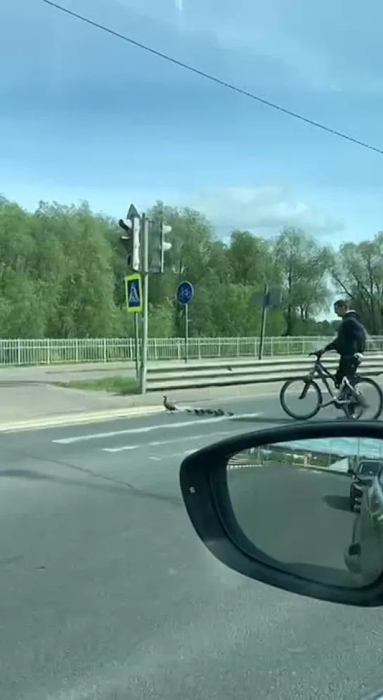 Видео от ПОДСЛУШАНО | Великий Новгород