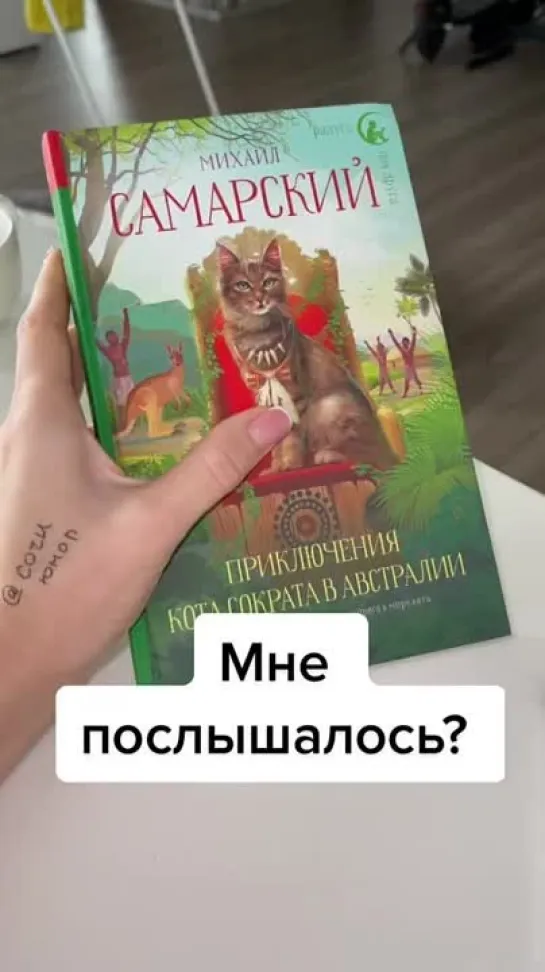 Бедный котик