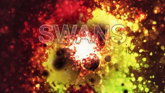 Swans: Where Does A Body End? (2019)