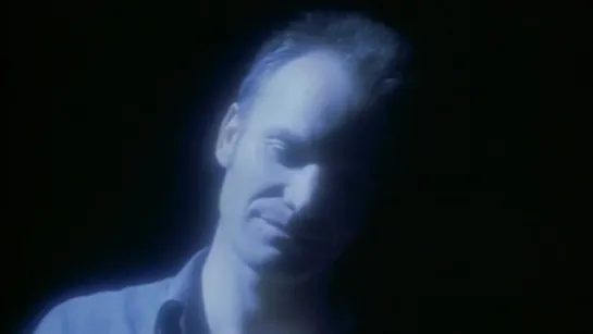 Sting - Fields Of Gold