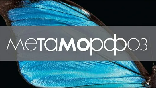 Метаморфоз / Metamorphosis (2011)