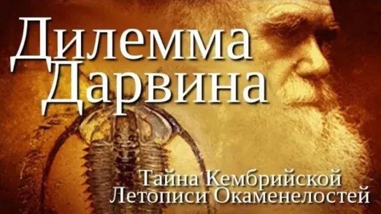 Дилемма Дарвина / Darwin's dilemma (2009)