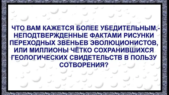 Эволюция или сотворение: Что убедительнее при сравнении ?