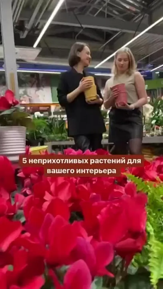 Видео от Уютно дома