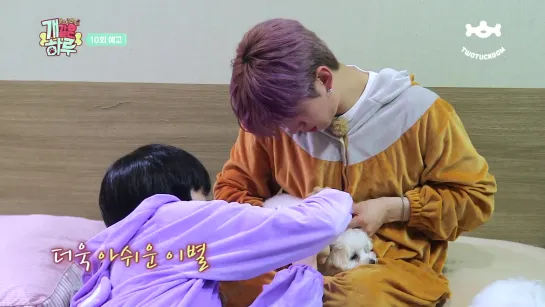 [VK][190807] MONSTA X preview Ep.10 @ Monsta X’s Puppy Day