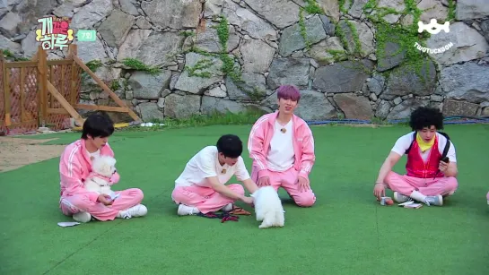 [VK][190729] MONSTA X Ep.7 @ Monsta X’s Puppy Day