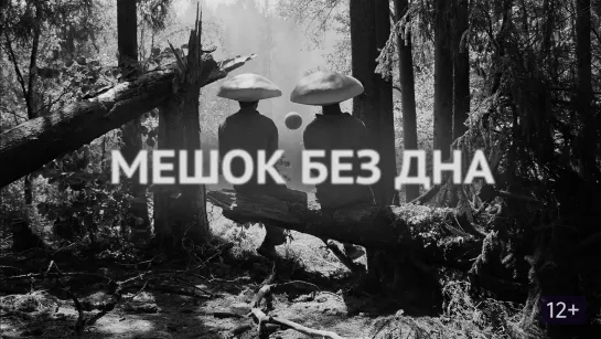 🎥 МЕШОК БЕЗ ДНА (2017)