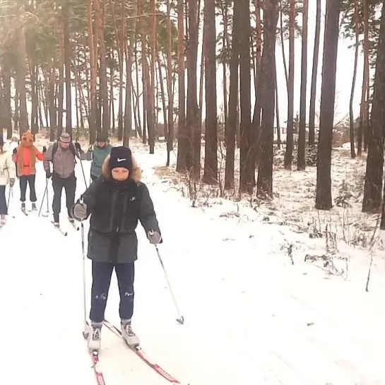 Лыжный поход с турклубом "48 вёрст"