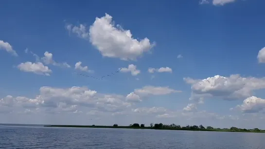 Видео от Дмитрия Афанасьева