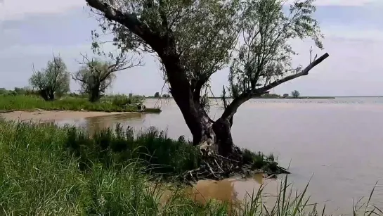 Видео от Дмитрия Афанасьева