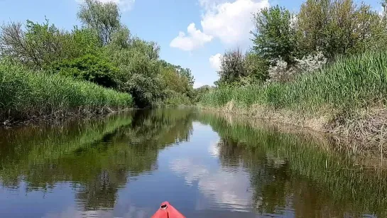 Видео от Дмитрия Афанасьева