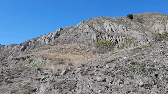 Видео от Дмитрия Афанасьева