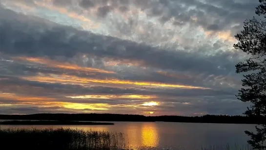 Видео от Дмитрия Афанасьева