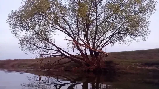 Видео от Дмитрия Афанасьева