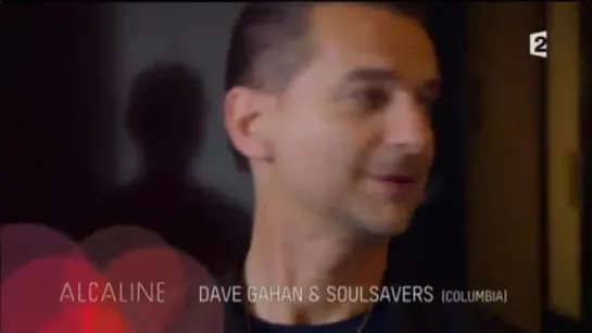 Dave Gahan – Интервью для France 2 (24.11.2015)