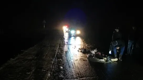 Скрывшегося с места смертельного ДТП водителя нашли в Удмуртии.