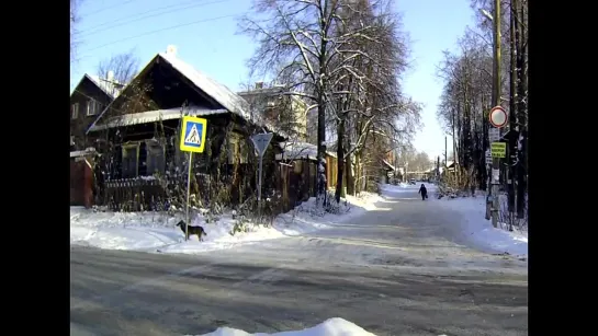 Собачка переходит дорогу по ПП лучше, чем человек (Ижевск)