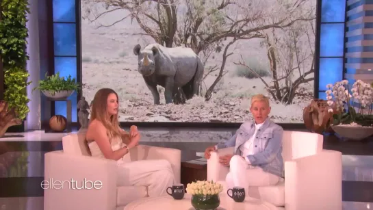 Behati Prinsloo Talks Saving the Rhinos in Namibia