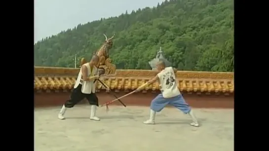 Трость. Shaolin kung fu cane vs spear duet.