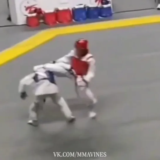 MMA VINES