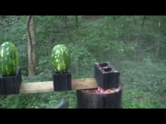 500 Magnum vs Watermelons.mp4