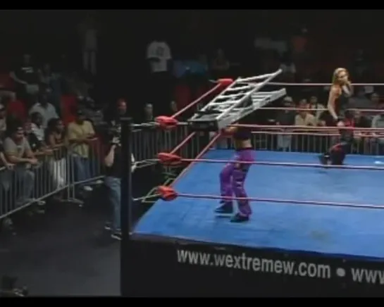 Mercedes Martinez vs Simply Luscious - Barbed Wire Baseball Bat Match