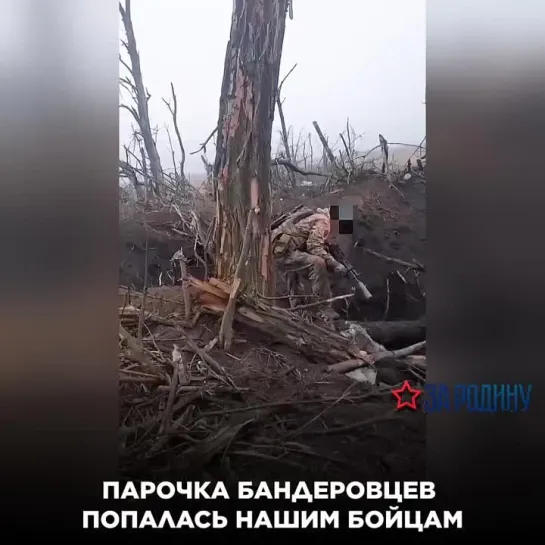 Парочка бандеровцев попалась нашим бойцам!