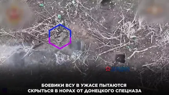 Боевики ВСУ в ужасе пытаются скрыться в норах от донецкого спецназа.