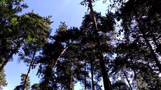 Видео от Евгении Грекиной