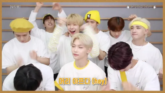 [190619] Stray Kids - Side Effects » Fan Featuring Guide Video