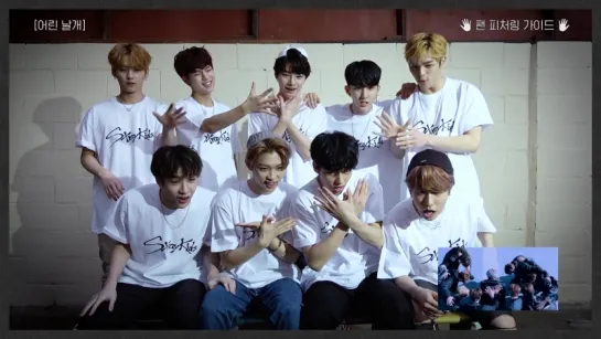 Stray Kids  "Young Wings" Fan Featuring Guide Video