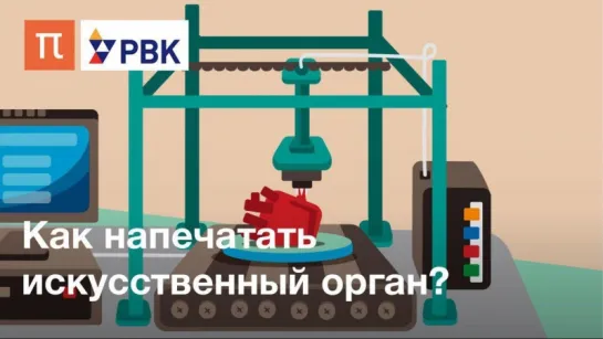 Как напечатать орган на биопринтере?