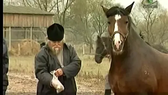 Наместник архим. Венедикт (Пеньков) с любимыми лошадками. Оптина Пустынь 2005 г.