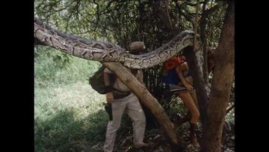 The Treasure of the Amazon / Сокровища Амазонки (приключения, реж. Рене Кардона мл., Мексика / США, 1985 г.)