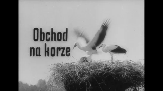 Магазин на площади / Obchod na korze (1965) dir. Elmar Klos, Ján Kadár [1080p]