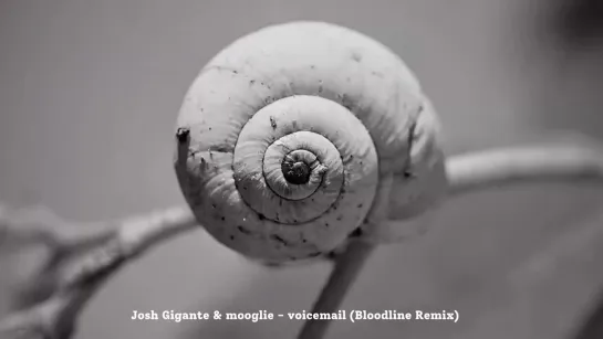 Josh Gigante  Mooglie - voicemail (Bloodline remix)