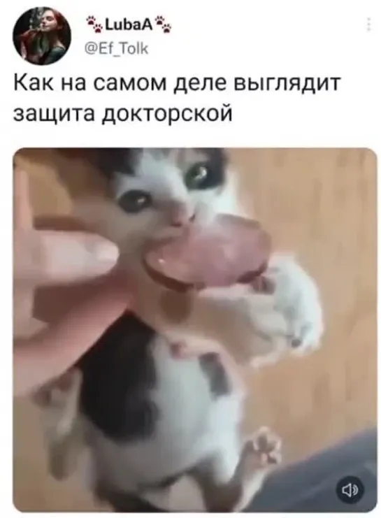 Видео от времени нет