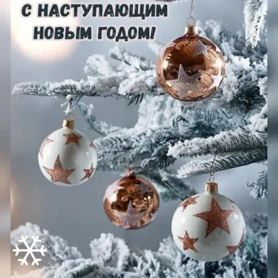 С Новым годом!  /София Ротару/