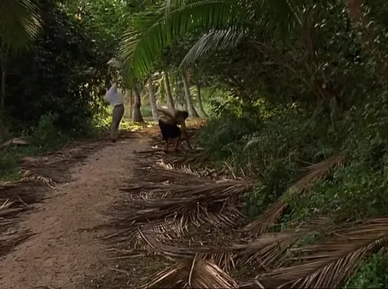 По ту сторону неба / Глаз бури / The Other Side of Heaven (2001)