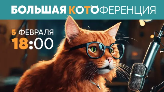 Большая Котоференция - 5 февраля в 18:00