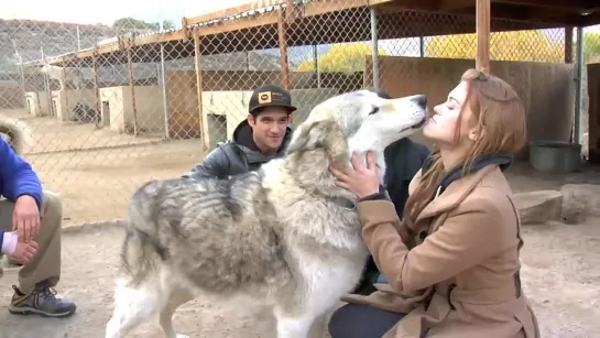 "Teen Wolf" Cast Visits Wolf Connection in California