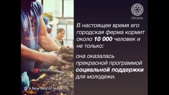 Городской фермер, накормивший уже 10000 человек!