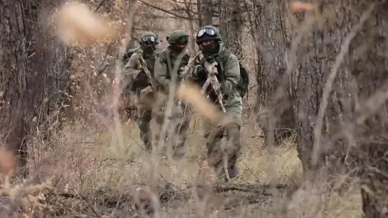 Боевой армейский резерв страны. 2