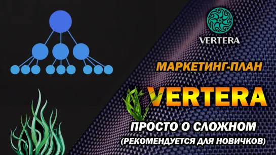 Маркетинг-плат ВЕРТЕРА простым языком. VERTERA