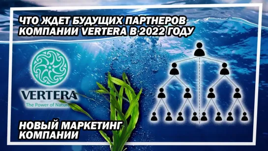 ЧТО ЖДЕТ БУДУЩИХ ПАРТНЕРОВ VERTERA В 2022 ГОДУ. НОВЫЙ МАРКЕТИНГ ПЛАН ВЕРТЕРА