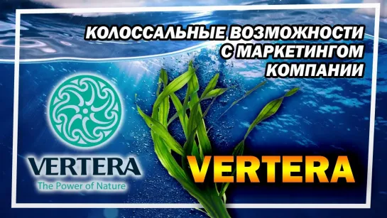 Колоссальные возможности с маркетингом компании VERTERA